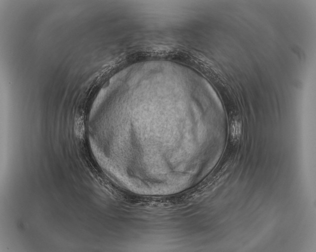 X0000112921204200909141305