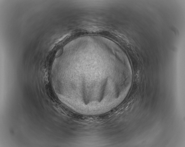 X0000112921205200909141305