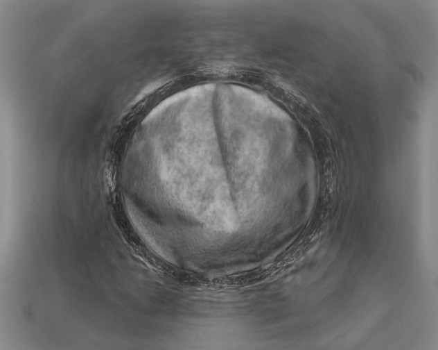 X0000112921206200909141305