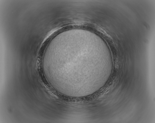 X0000112921208200909141306