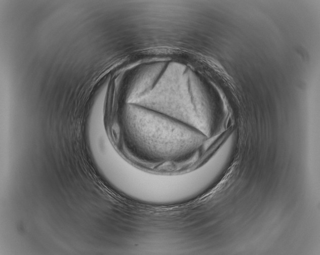 X0000112921209200909141306