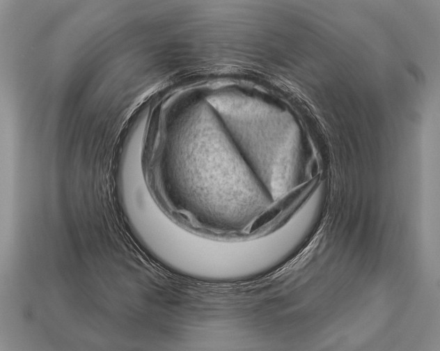 X0000112921210200909141306