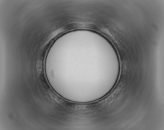 X0000112921211200909141306
