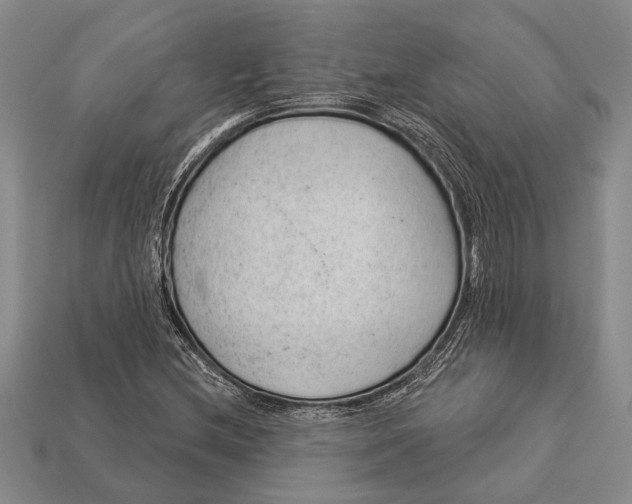 X0000112921212200909141306