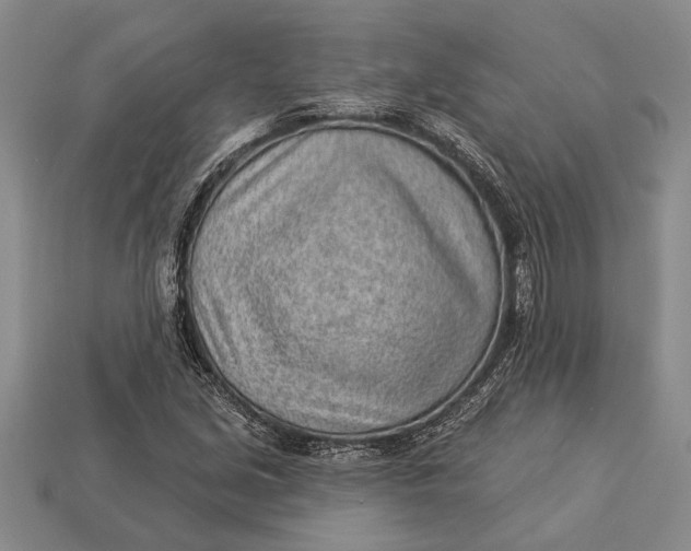 X0000112921213200909141306