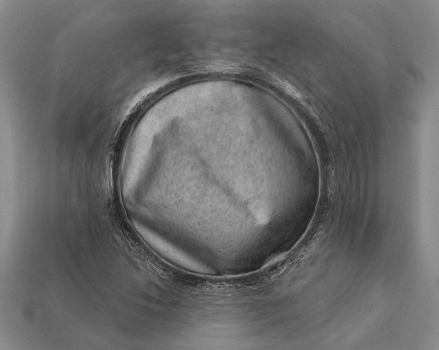 X0000112921214200909141306