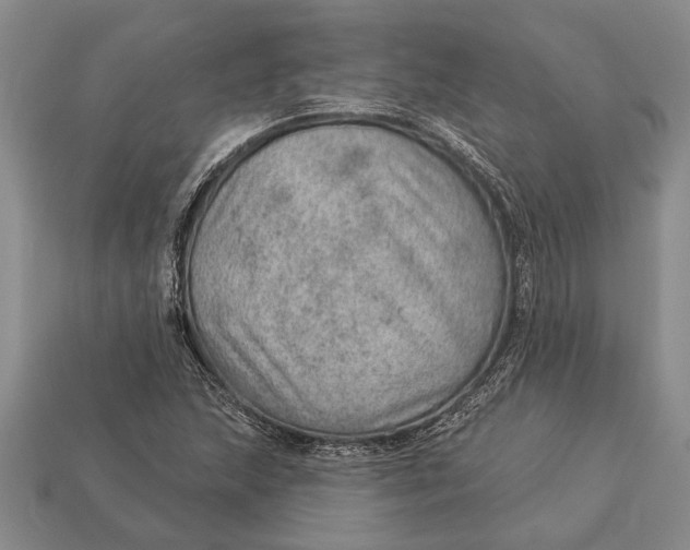 X0000112921215200909141306