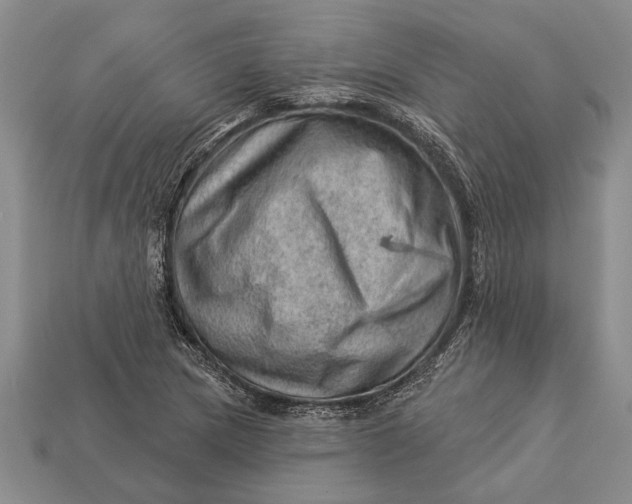 X0000112921217200909141306