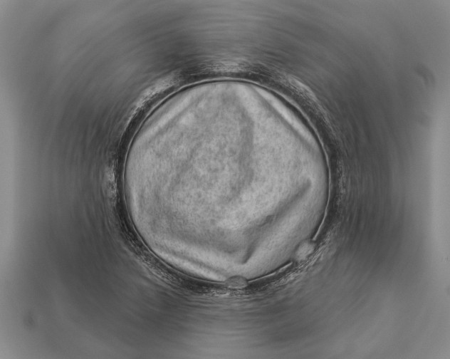 X0000112921218200909141306