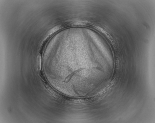 X0000112921219200909141306
