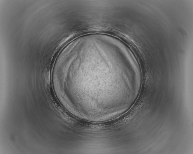 X0000112921220200909141306