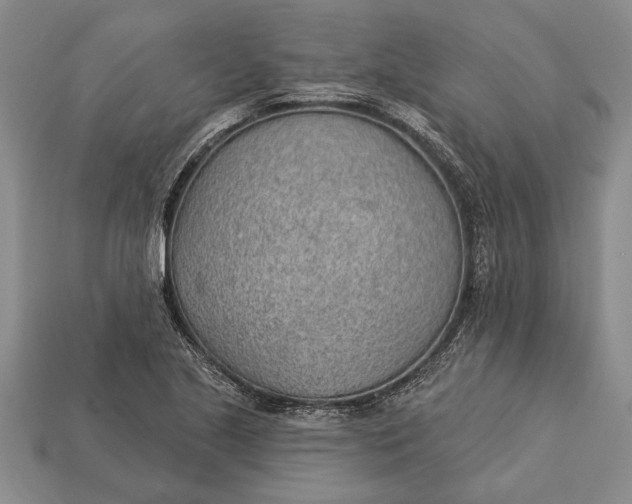 X0000112921221200909141306