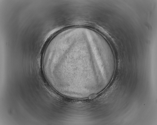 X0000112921222200909141306
