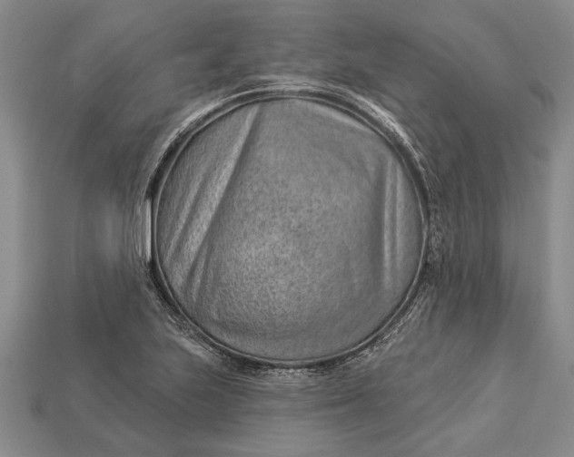 X0000112921223200909141306