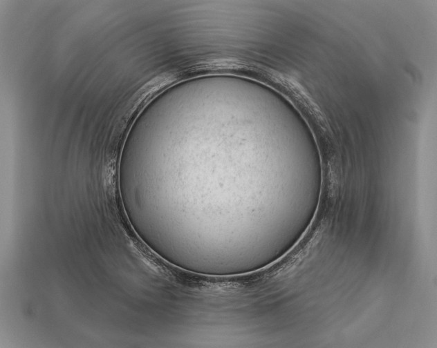 X0000112921225200909141306