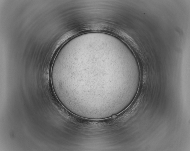 X0000112921226200909141306