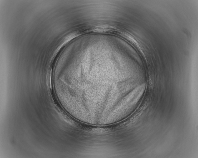 X0000112921227200909141306