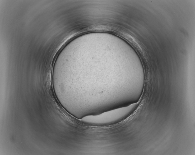 X0000112921228200909141306