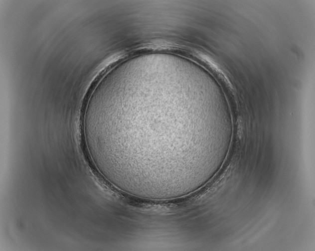 X0000112921229200909141306