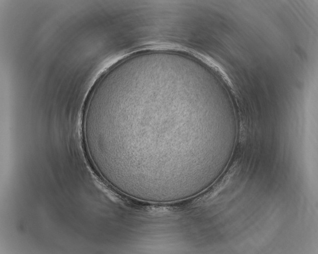 X0000112921231200909141306
