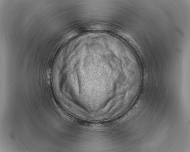 X0000112921233200909141306