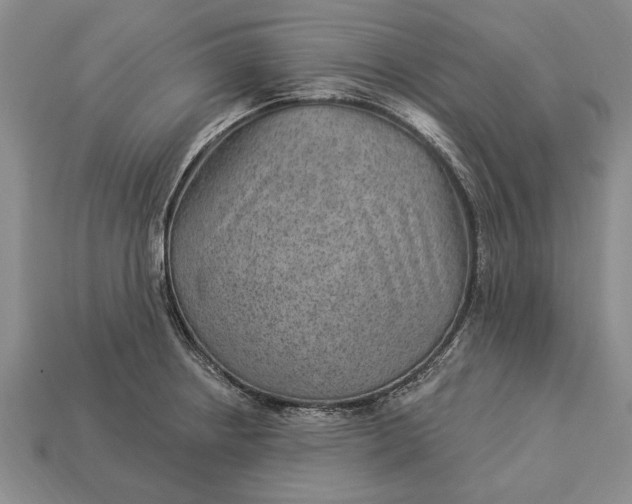 X0000112921234200909141306