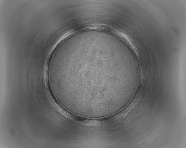 X0000112921235200909141306