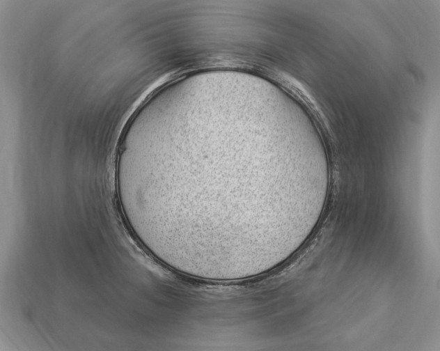 X0000112921236200909141306