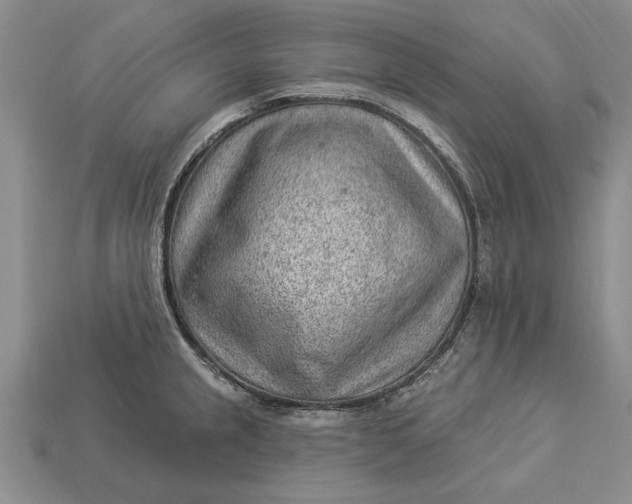 X0000112921237200909141306