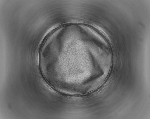 X0000112921238200909141306