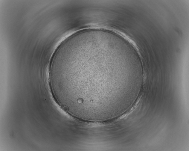 X0000112921239200909141306