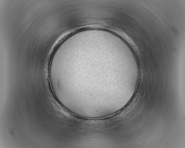 X0000112921240200909141306
