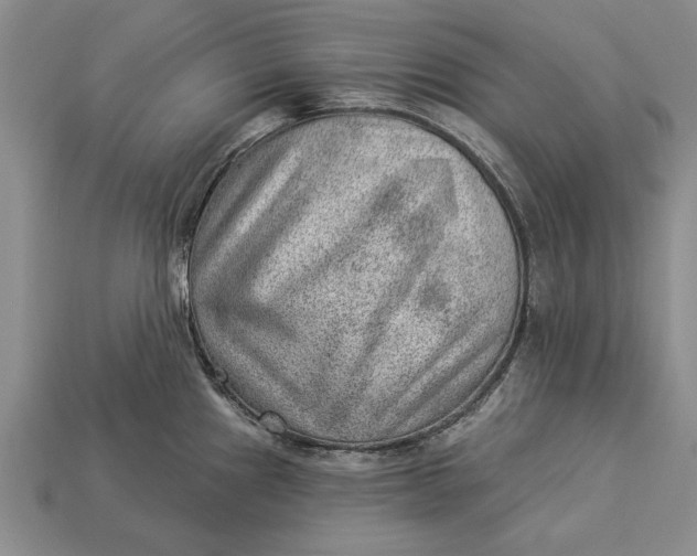 X0000112921241200909141306