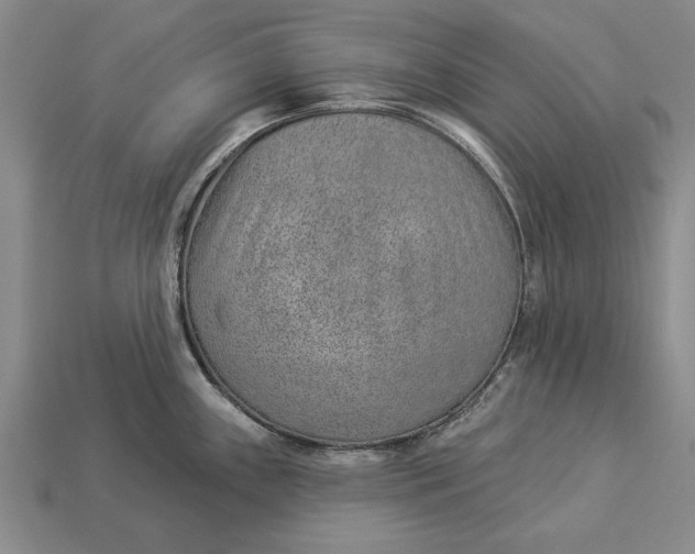 X0000112921243200909141306