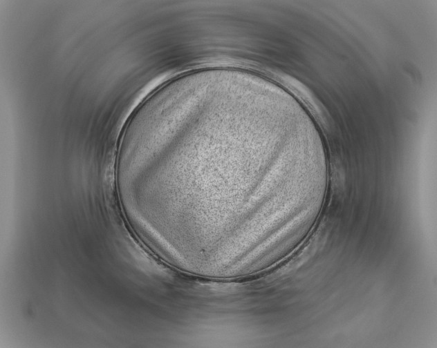 X0000112921244200909141306