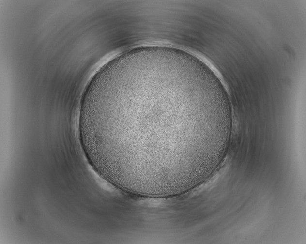 X0000112921245200909141306