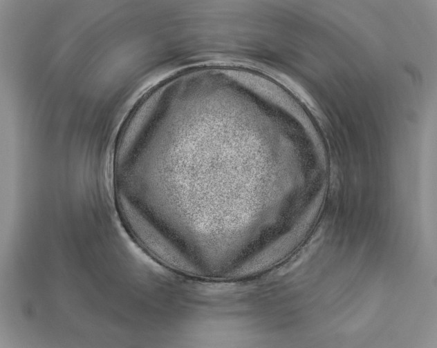 X0000112921247200909141306