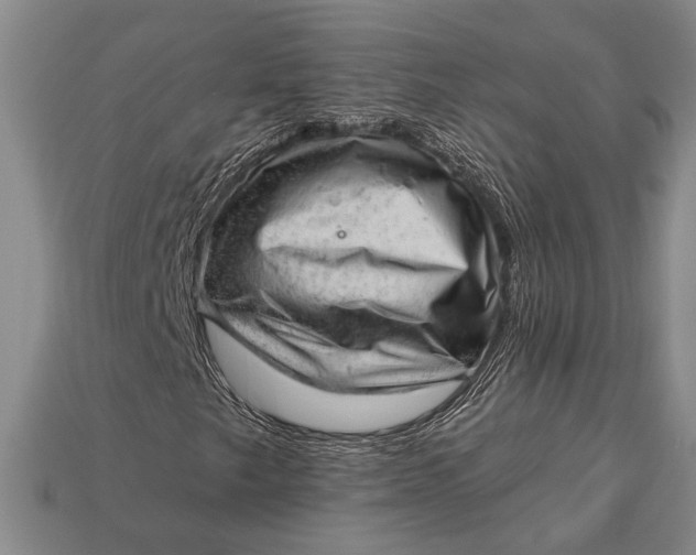 X0000112921249200909141305