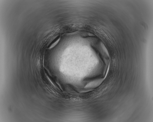 X0000112921250200909141305