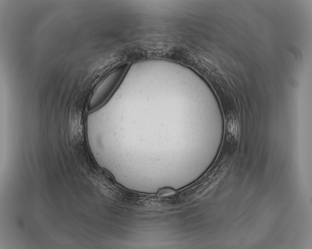 X0000112921252200909141305