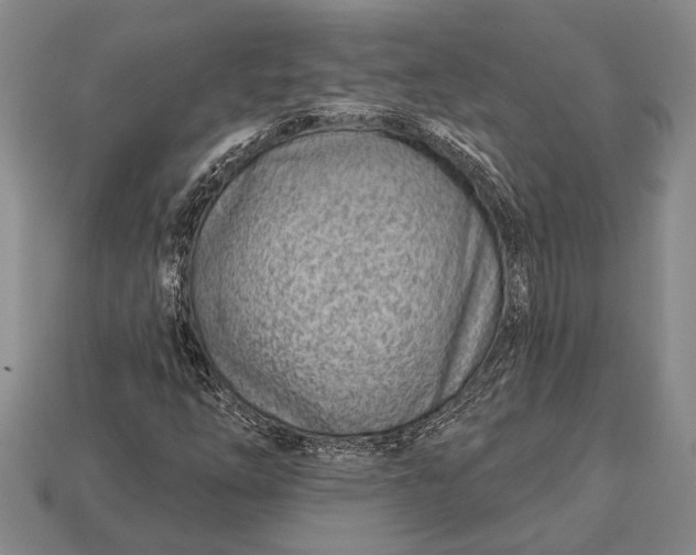 X0000112921254200909141305