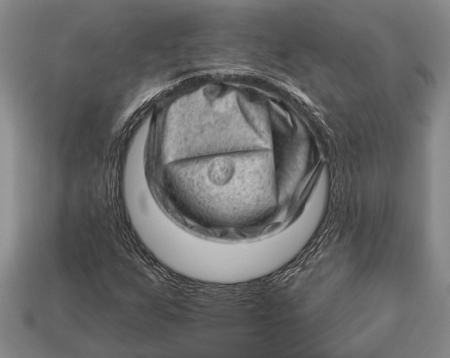 X0000112921255200909141305