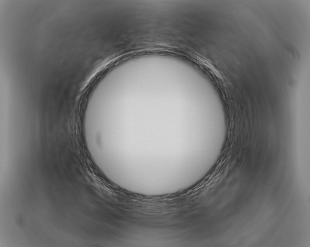 X0000112921256200909141305