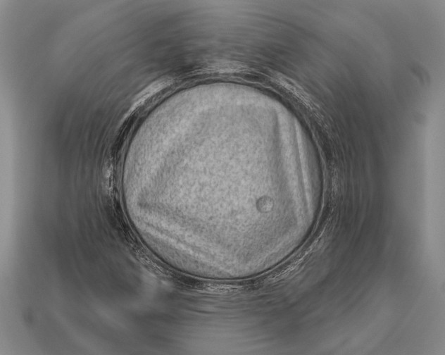 X0000112921258200909141305