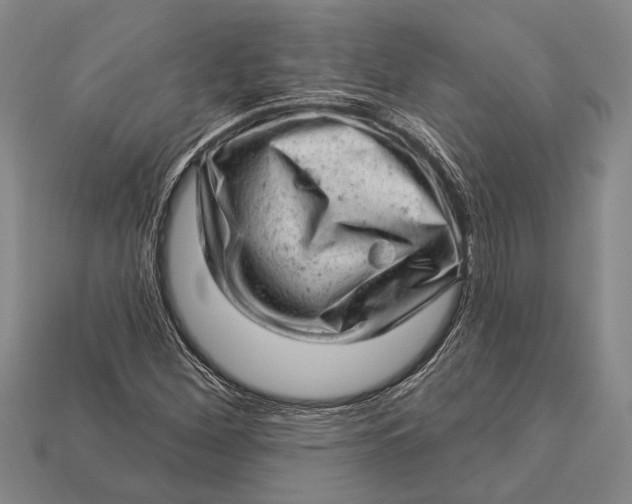 X0000112921260200909141305