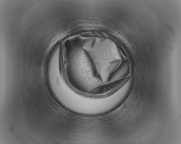 X0000112921261200909141305