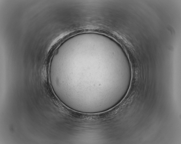 X0000112921262200909141305