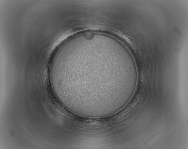 X0000112921263200909141305