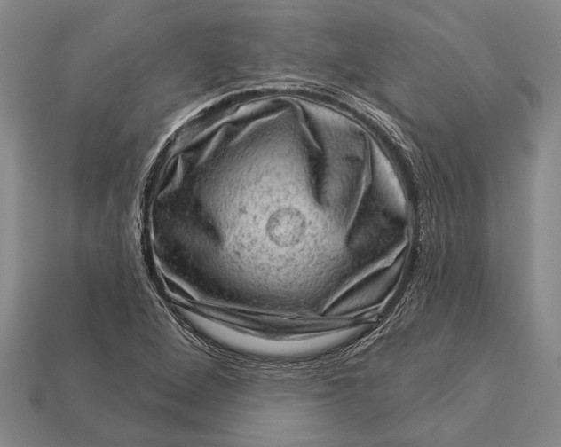 X0000112921264200909141305