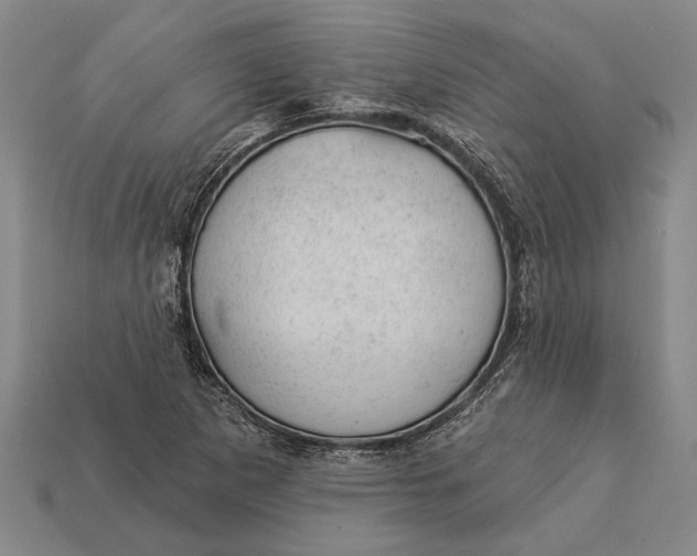 X0000112921265200909141305